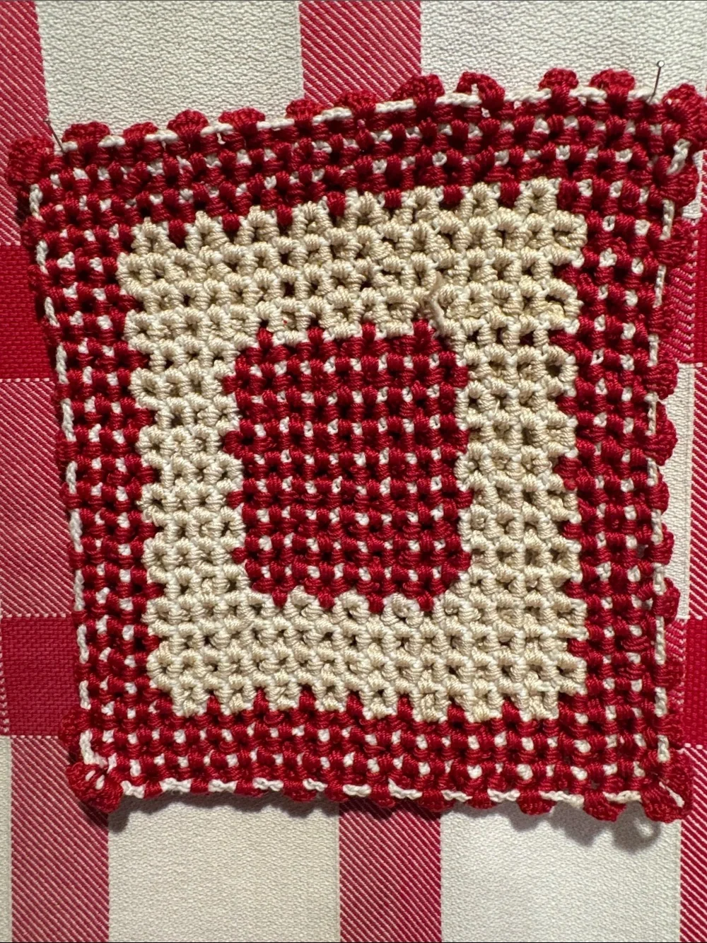 Handmade Red and Cream Crochet Pot Holder or Hot Pad for Table